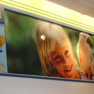 Wide Format Outdoor Quality Printing